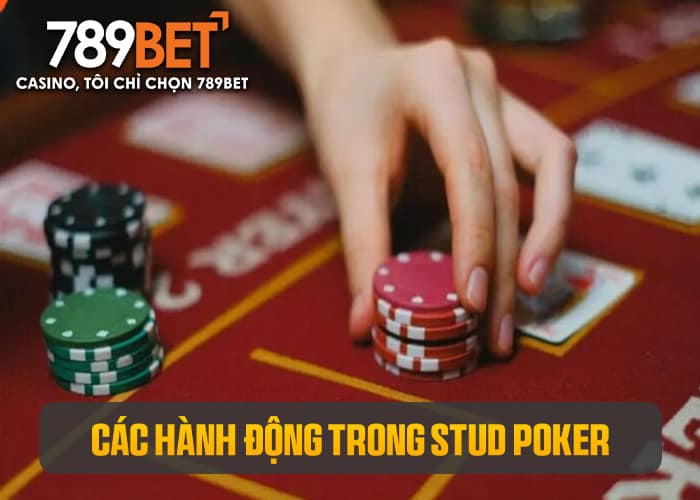 Các hành động được sử dụng trong Stud Poker Các hành động được sử dụng trong Stud Poker