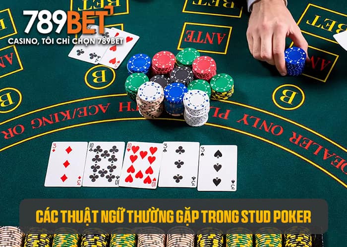 Một số thuật ngữ thường gặp trong Stud Poker Một số thuật ngữ thường gặp trong Stud Poker