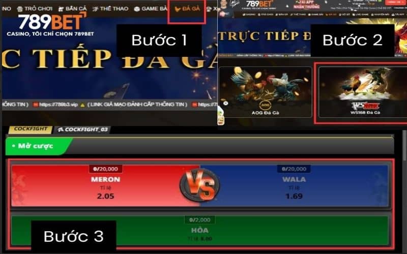 Các bước xem và đặt cược đá gà cựa dao trực tuyến tại 789BET Các bước xem và đặt cược đá gà cựa dao trực tuyến tại 789BET
