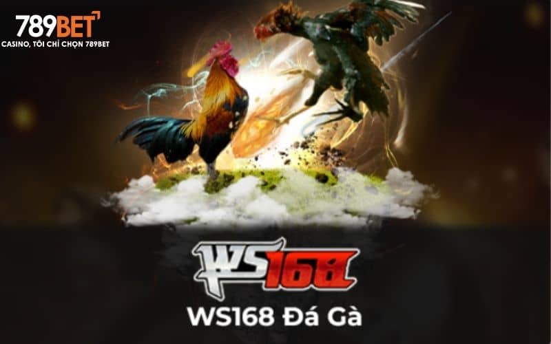 Sảnh gà WS168 phát sóng đá gà cựa dao trực tuyến ở Philippines Sảnh gà WS168 phát sóng đá gà cựa dao trực tuyến ở Philippines